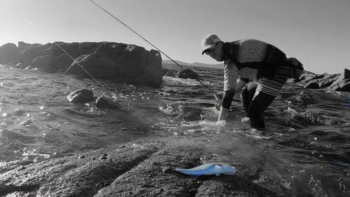 Galerías KRID LifetimeFishing Saltwater Flyfishing